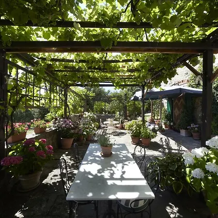 Holiday home L'olmo