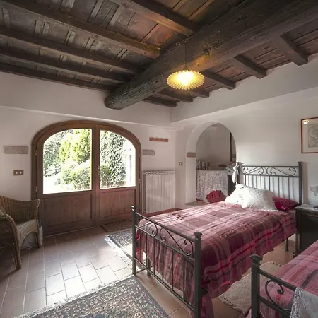 L'olmo Florence
